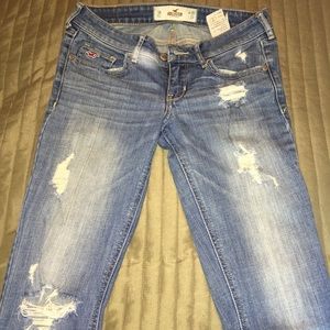 Hollister Bootcut Jeans